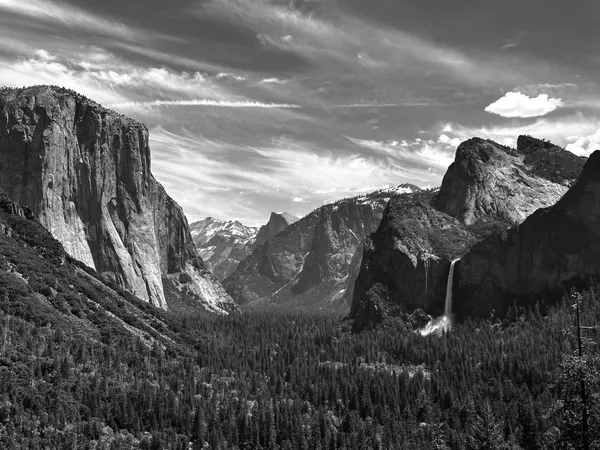 Yosemite Black